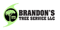 Brandon’s Tree Service LLC -Tree Removal